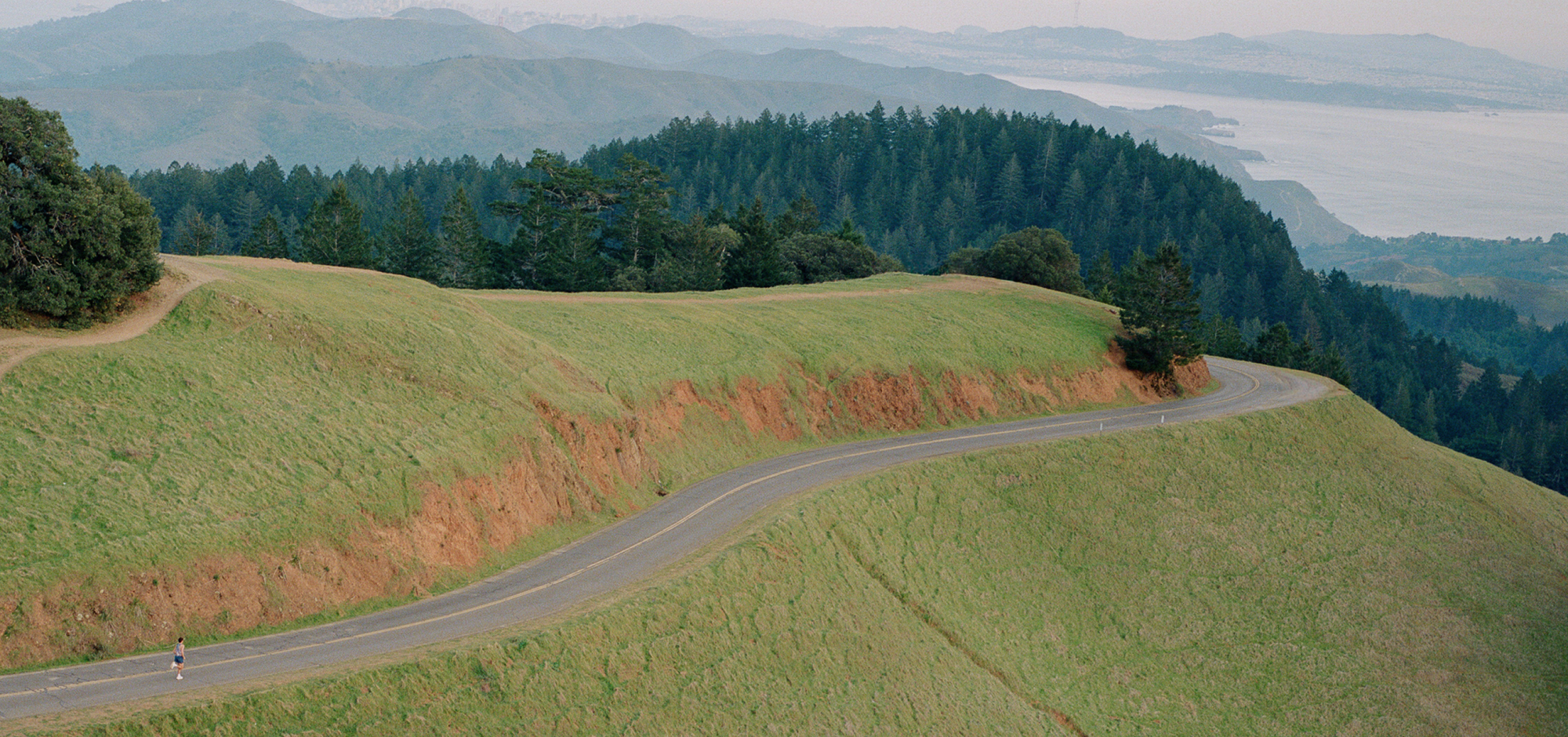 THE SPRING '26 COLLECTION