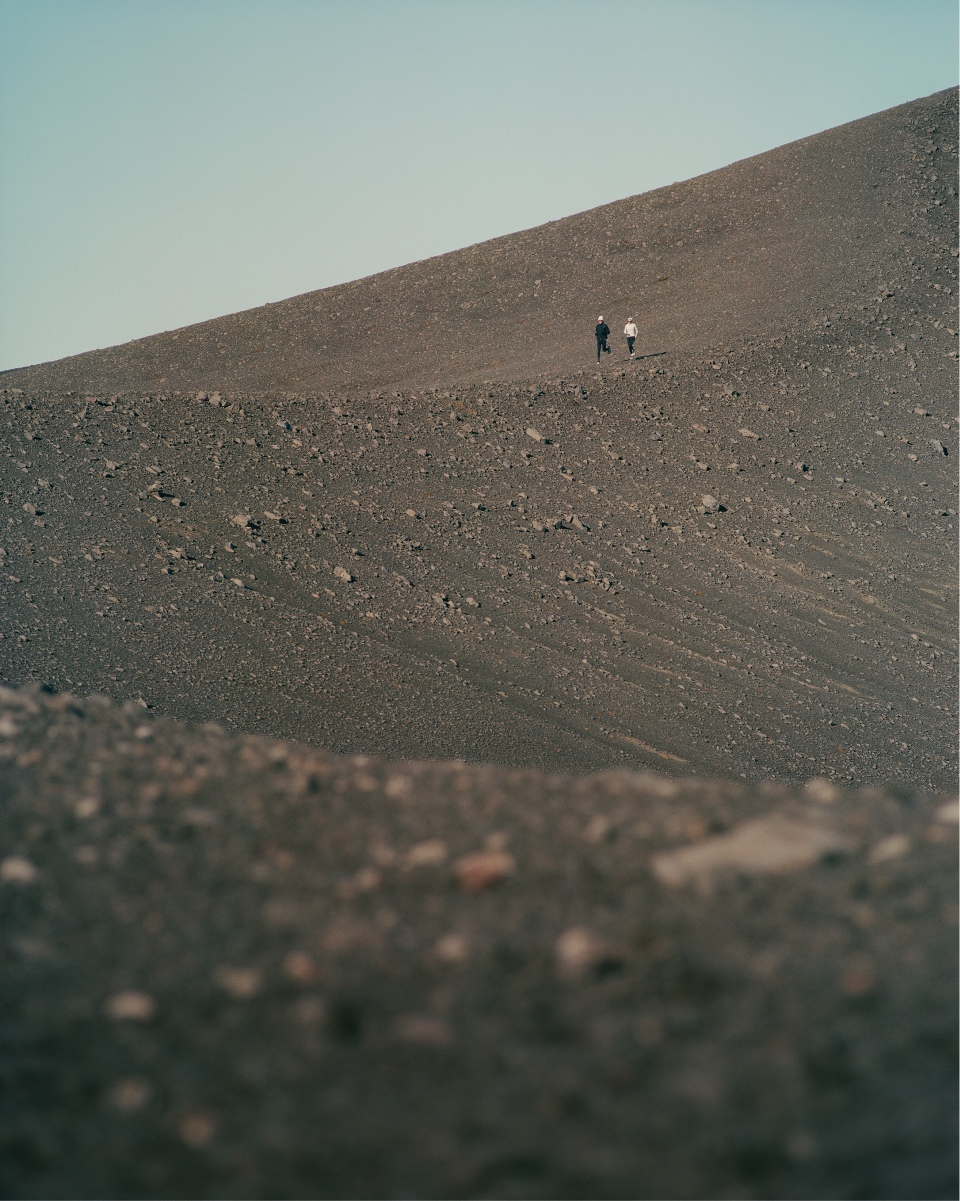 The Evolution Report: Winter 2024, Mental Terrain