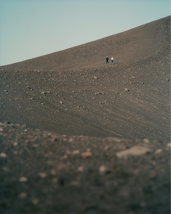 The Evolution Report: Winter 2024, Mental Terrain