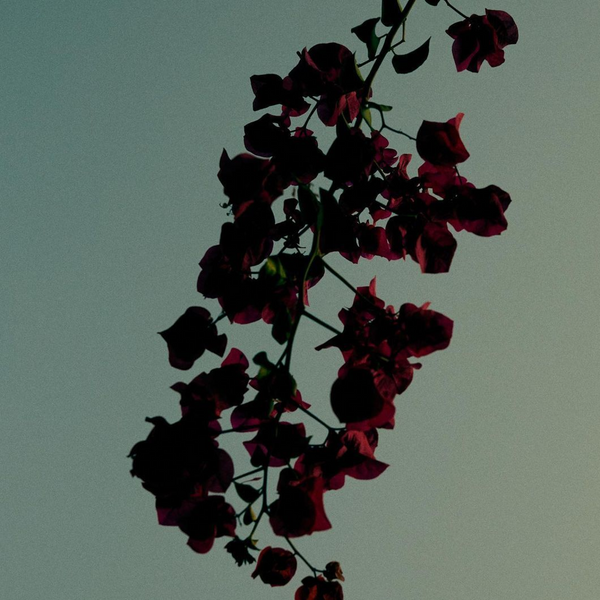 The Fall 2025 Mood Board