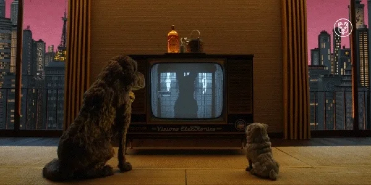 What We're Watching