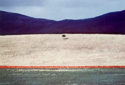 The Spring 2024 Collection Mood Board