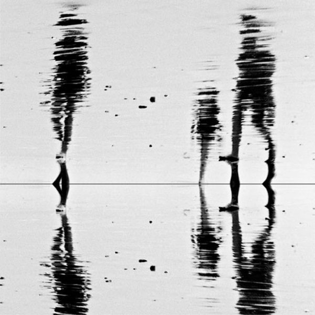 The Summer 2024 Moodboard