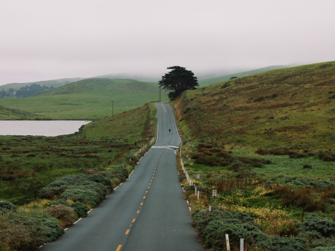 Women's Stamina-V™ High Waist 5" Compression Short - Black